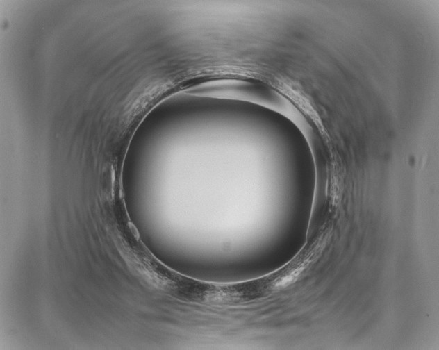 X0000087360109200704201157