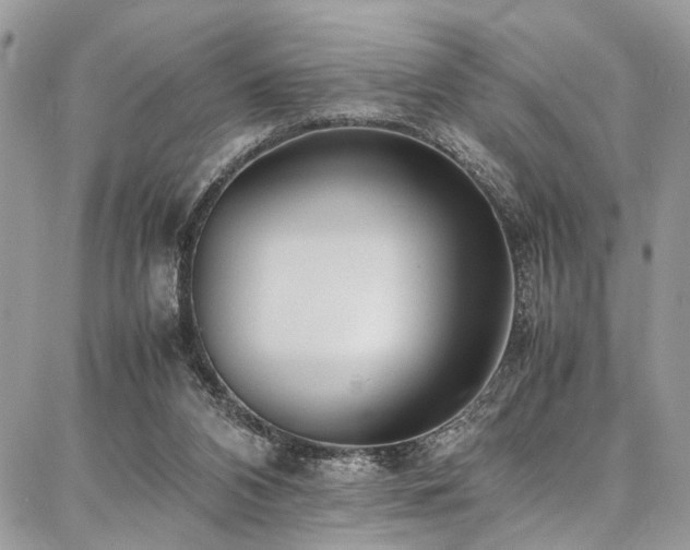 X0000087360112200704201157