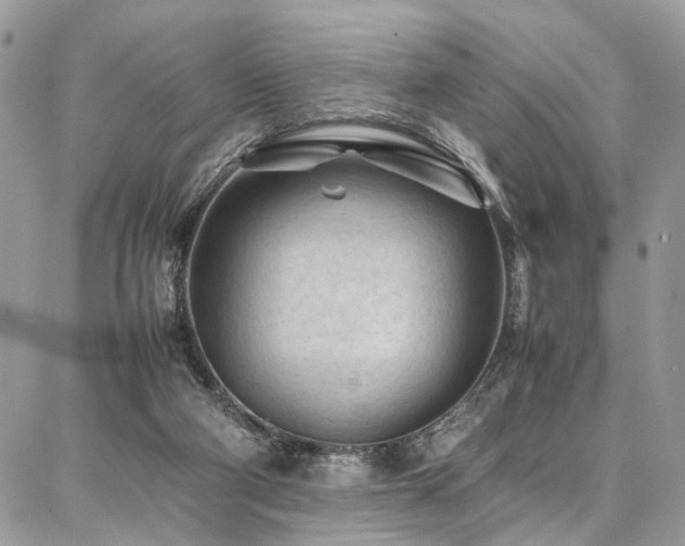 X0000087360114200704201157