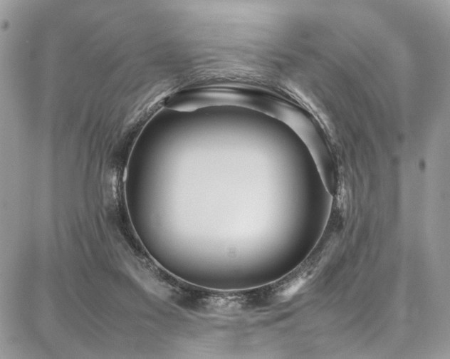 X0000087360117200704201157