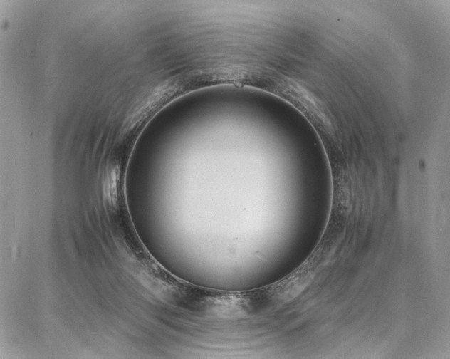 X0000087360118200704201157
