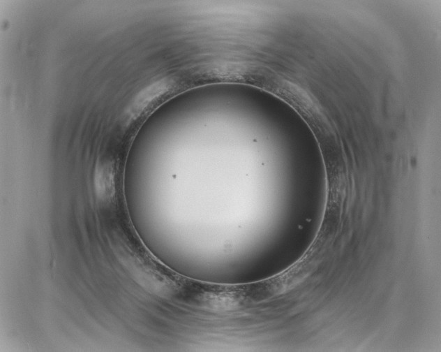X0000087360120200704201157