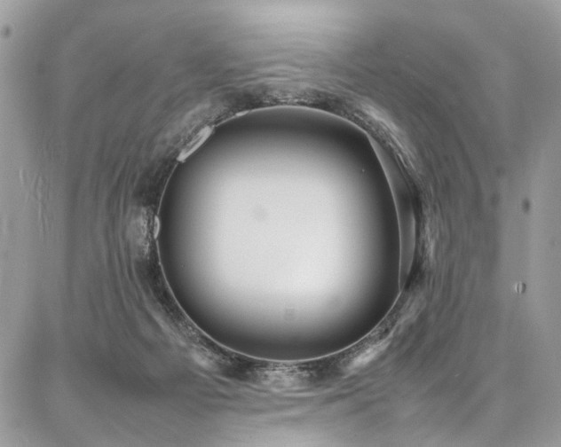 X0000087360121200704201157