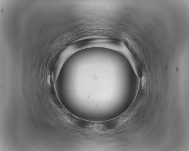 X0000087360125200704201157