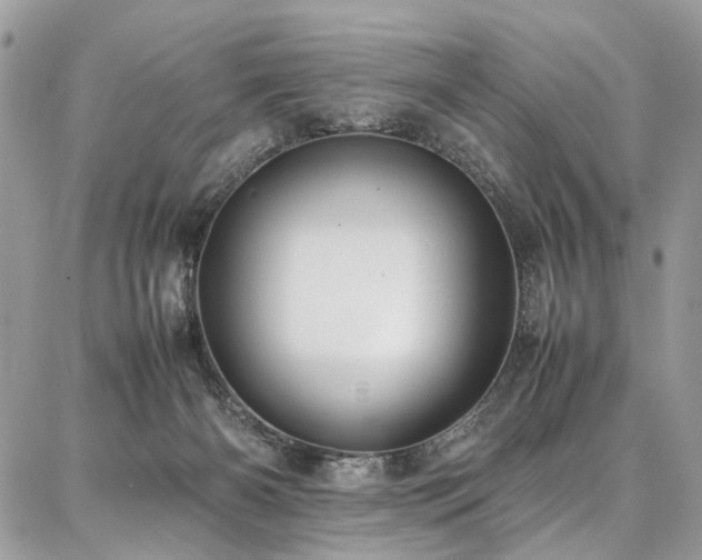 X0000087360126200704201157