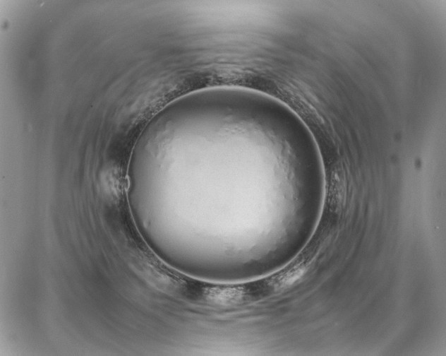 X0000087360135200704201157