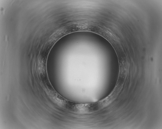X0000087360136200704201157