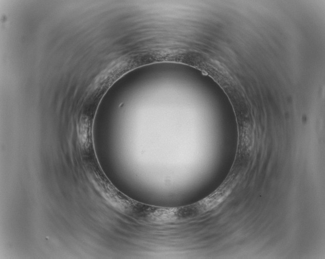 X0000087360138200704201156