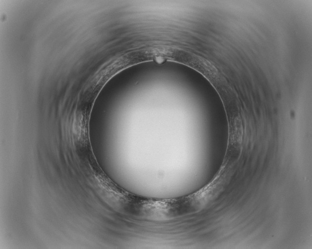 X0000087360140200704201156
