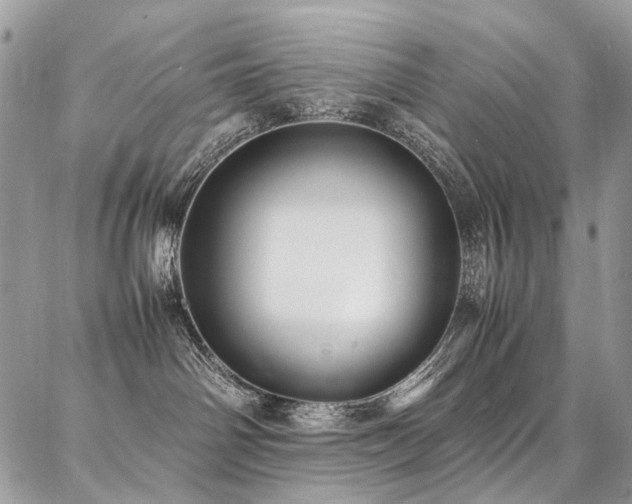 X0000087360142200704201156