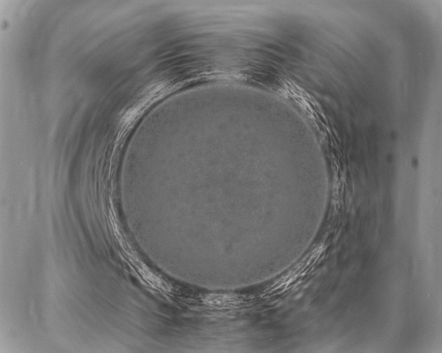 X0000087360145200704201156