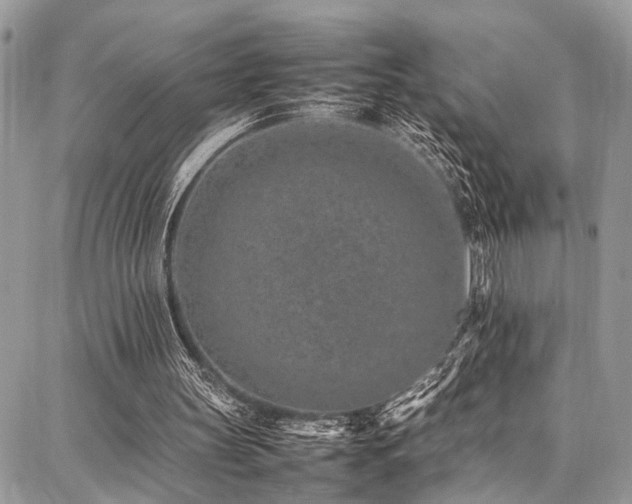 X0000087360147200704201156
