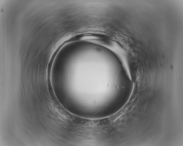 X0000087360148200704201156