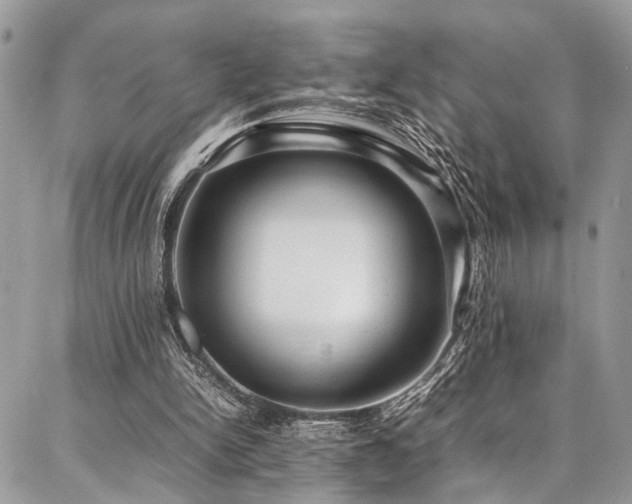 X0000087360150200704201156