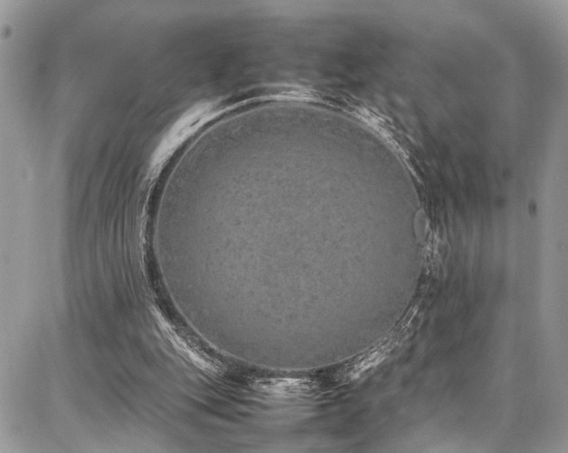 X0000087360151200704201156