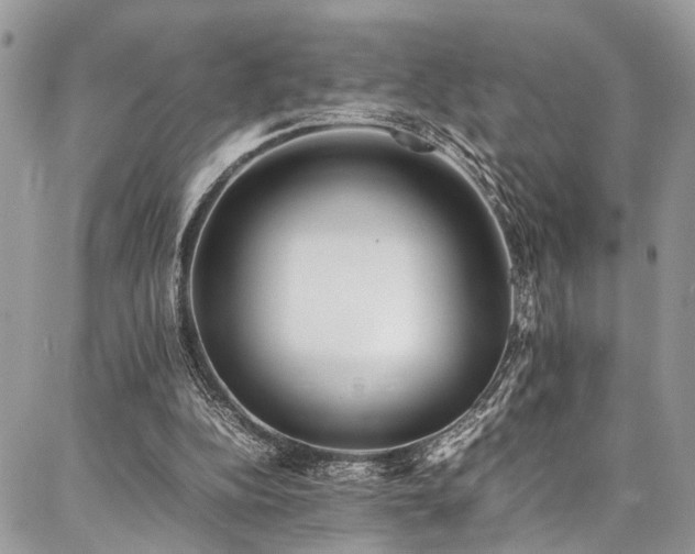X0000087360152200704201156