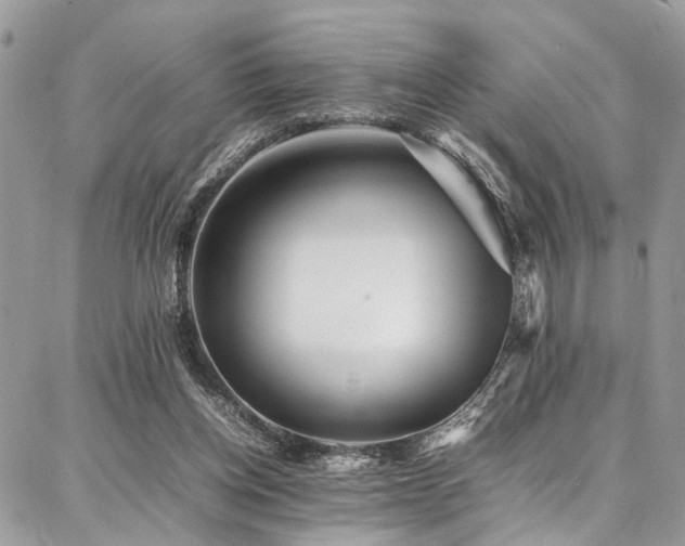 X0000087360158200704201156
