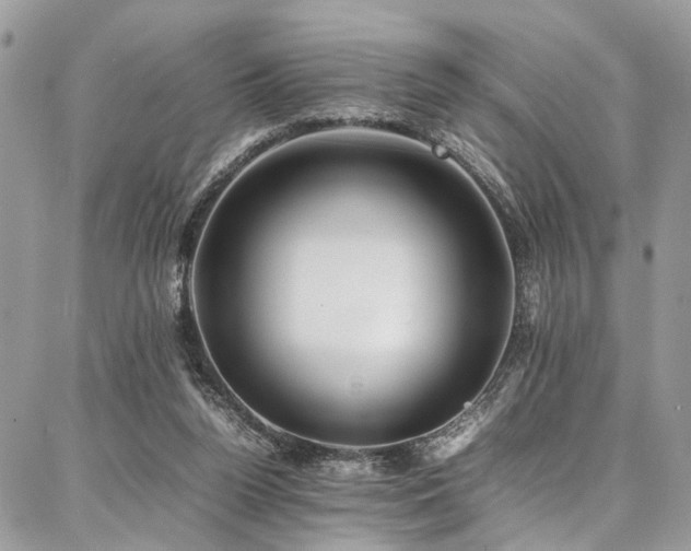 X0000087360160200704201156