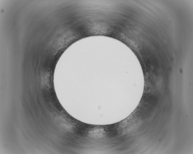 X0000087360162200704201156