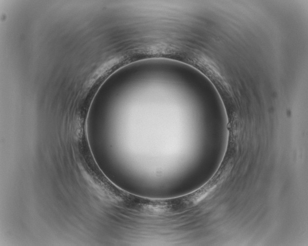 X0000087360164200704201156