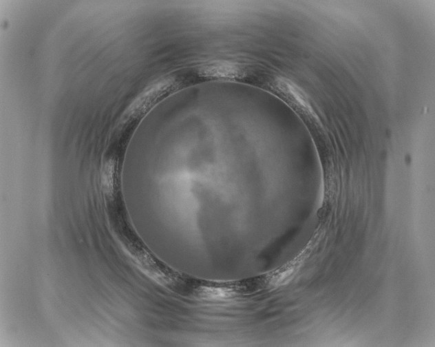 X0000087360167200704201156