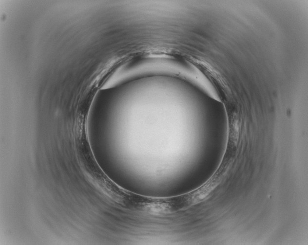 X0000087360168200704201156