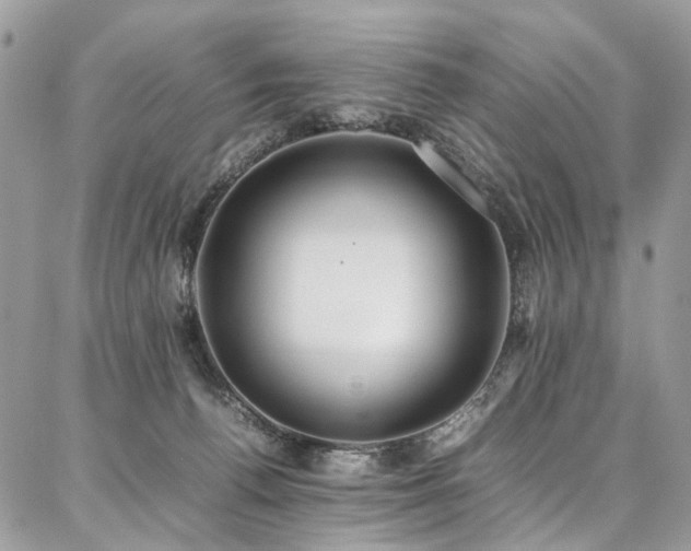 X0000087360176200704201156
