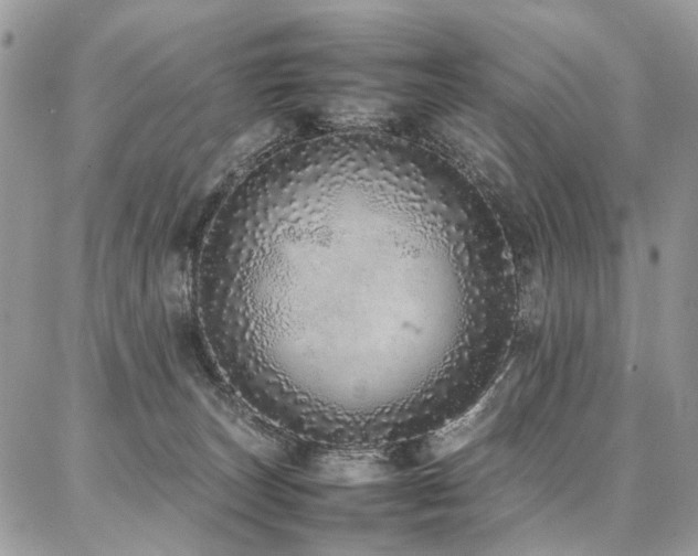 X0000087360179200704201156
