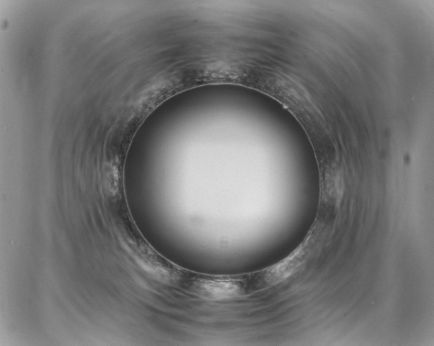 X0000087360183200704201156
