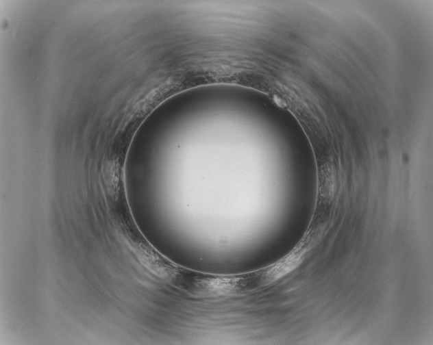 X0000087360184200704201156