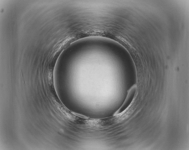 X0000087360192200704201156