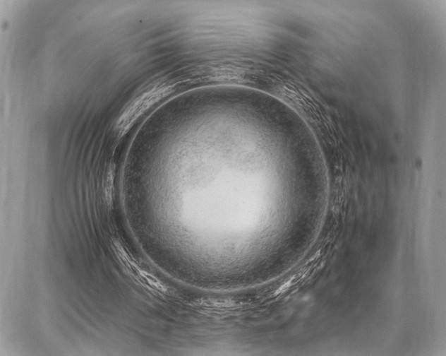 X0000087360194200704201156
