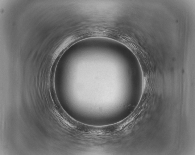 X0000087360195200704201156