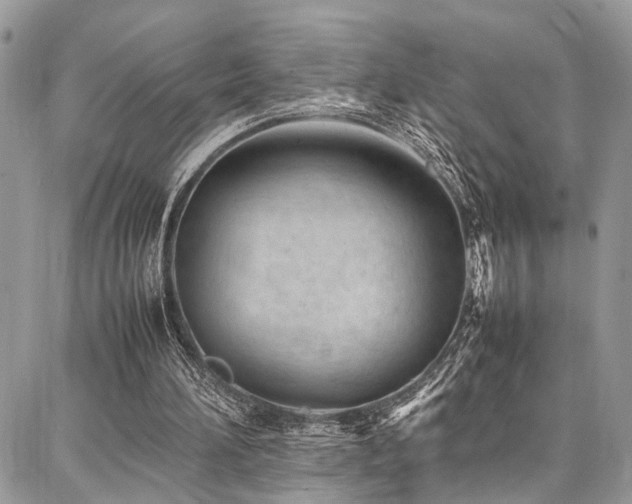 X0000087360196200704201156