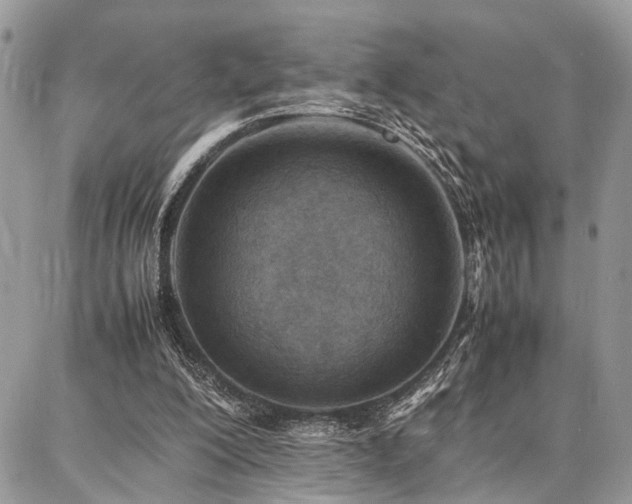 X0000087360200200704201155