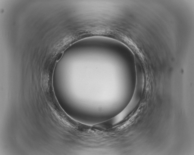 X0000087360201200704201155
