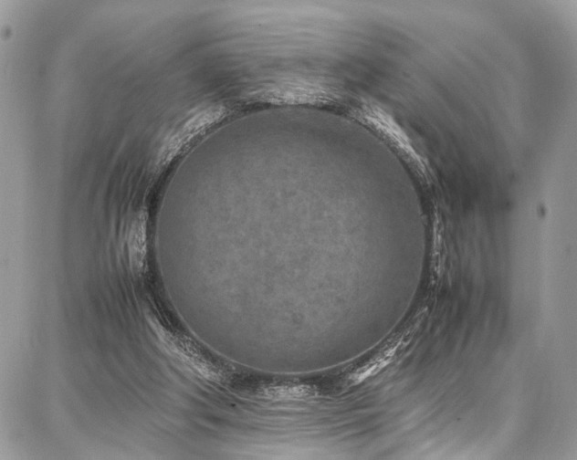 X0000087360202200704201155