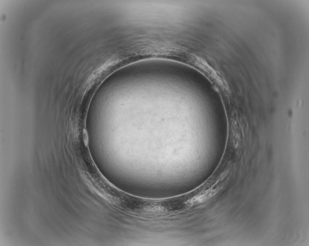 X0000087360203200704201155