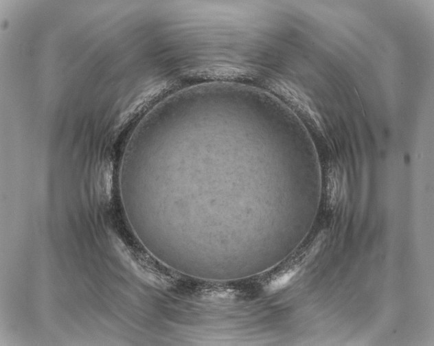 X0000087360206200704201155