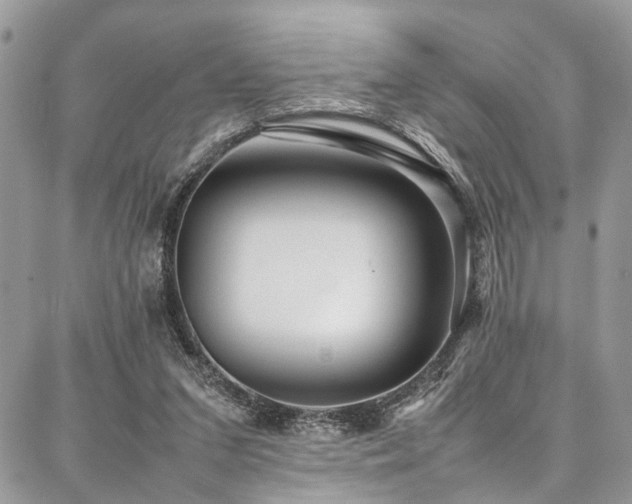 X0000087360207200704201155
