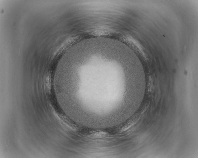 X0000087360210200704201155
