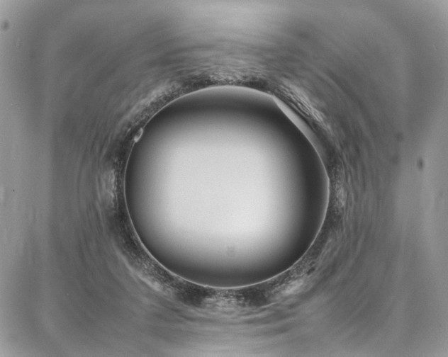 X0000087360211200704201155
