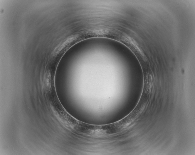 X0000087360212200704201155
