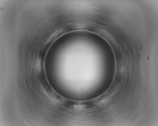 X0000087360216200704201155