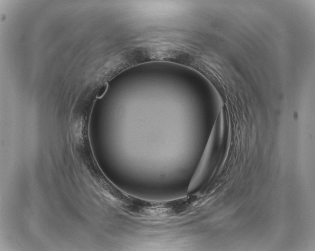 X0000087360219200704201155