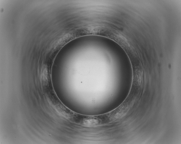 X0000087360220200704201155