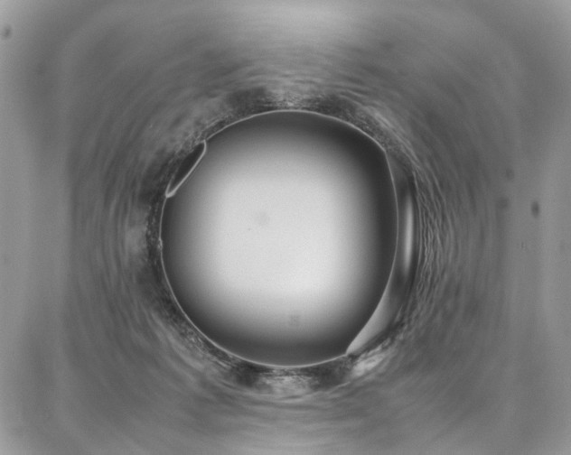 X0000087360221200704201155