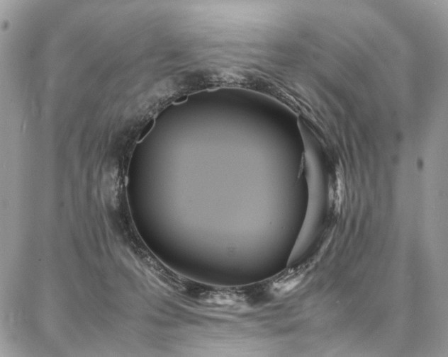 X0000087360223200704201155