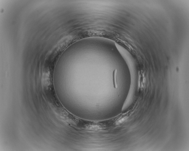 X0000087360224200704201155