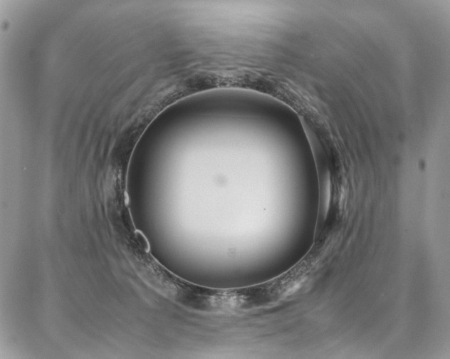 X0000087360225200704201155
